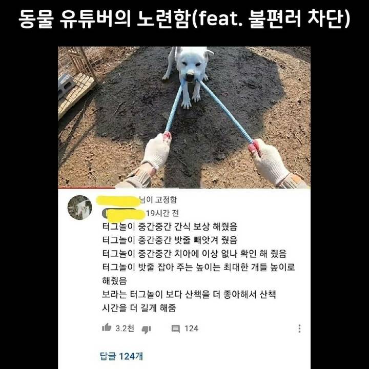 불편러들에게 선빵 날리는 노련한 유튜버