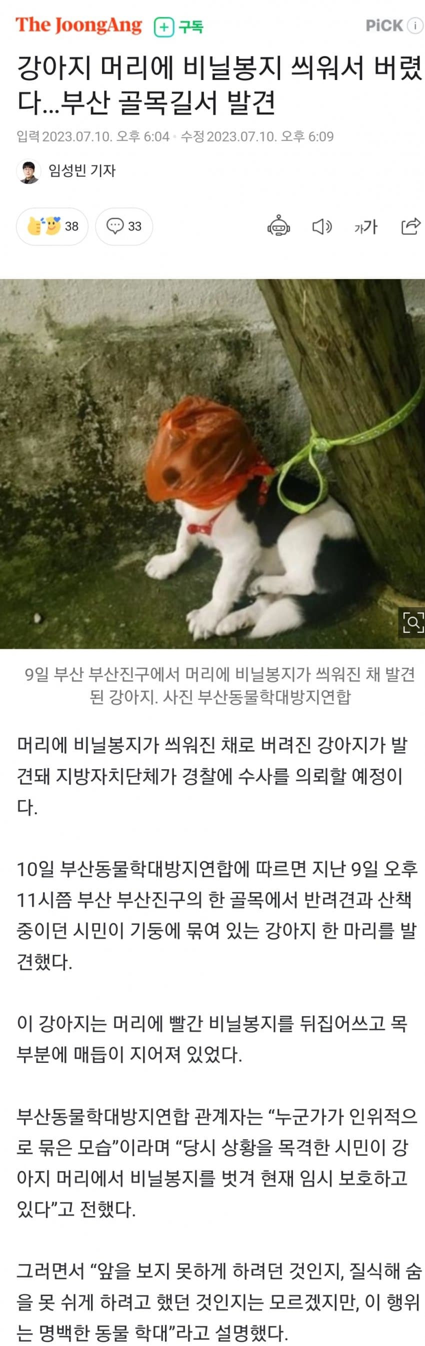 빨간 비닐에 묶인 채 버려진 강아지