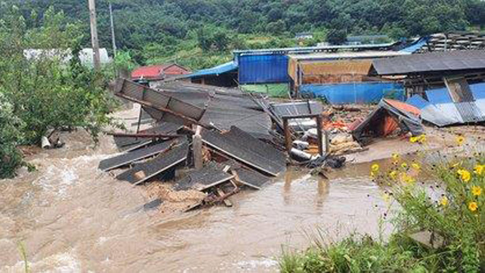 60년 정든 집 폭우에 폭삭…한 달째 마을회관 못 떠나는 87세 노인