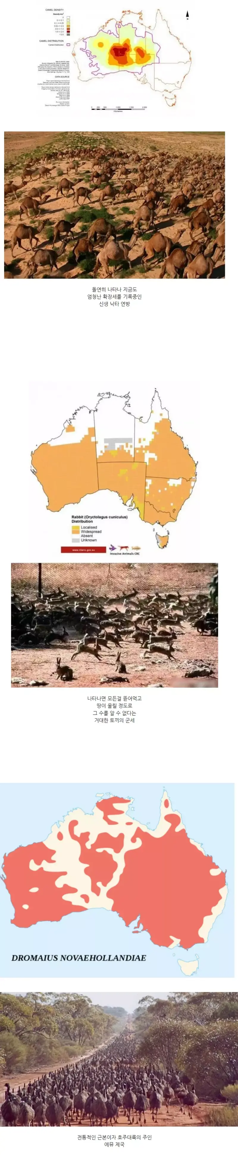 호주를 지배한다는 3대 세력