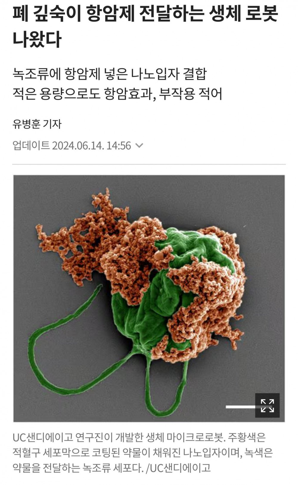 현재 난리났다는 폐암 치료제 근황 