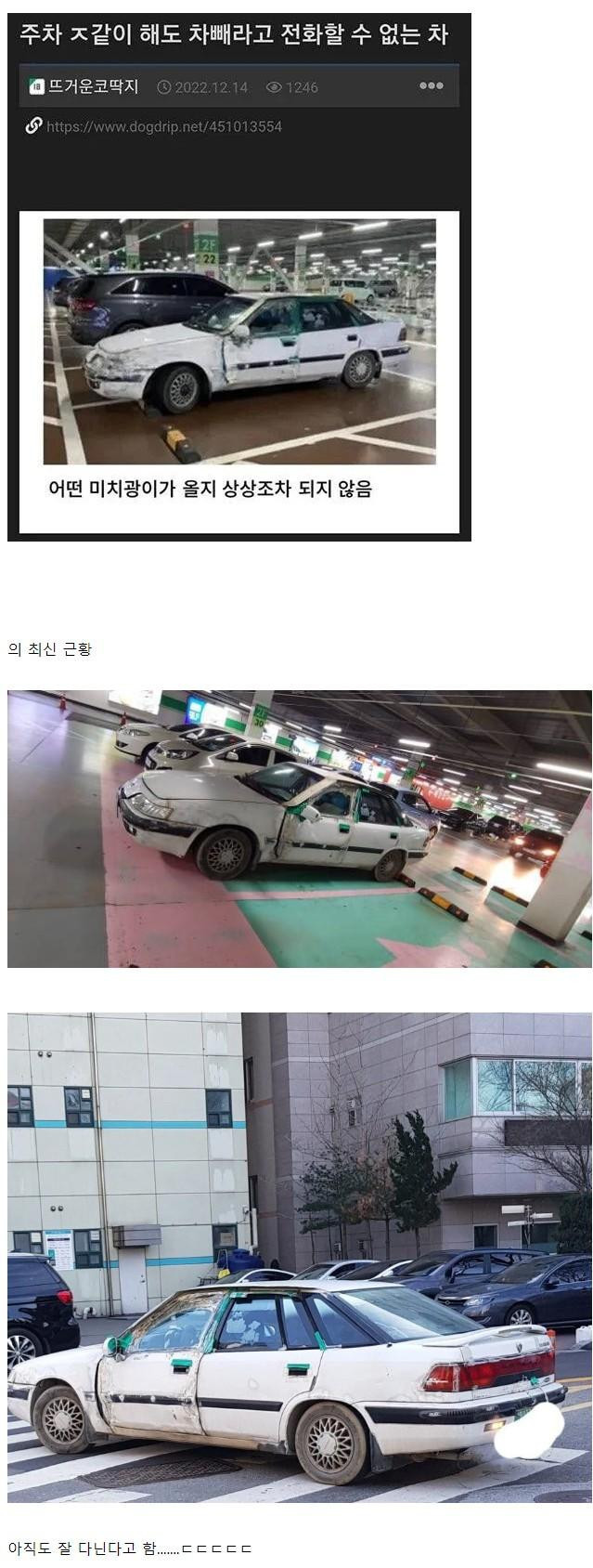 주차장 진짜 광기 근황