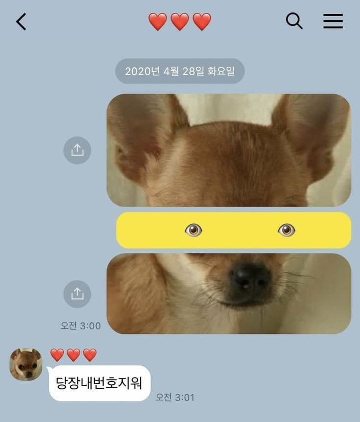 전여친 강아지 능욕....jpg