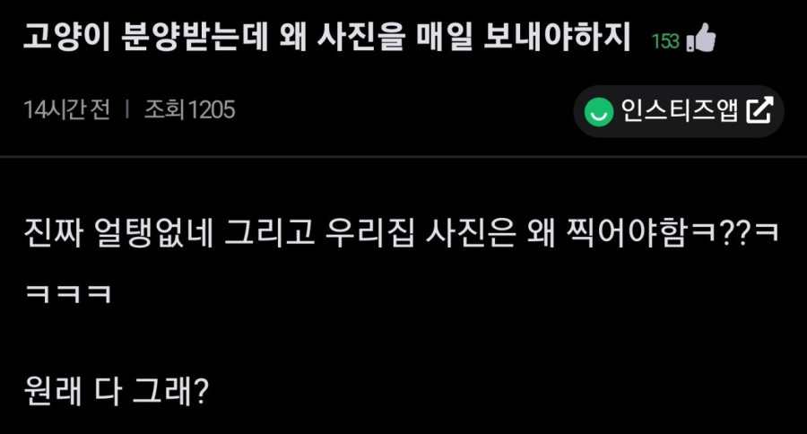 고양이 분양받는데 사진을 왜 보내야하지