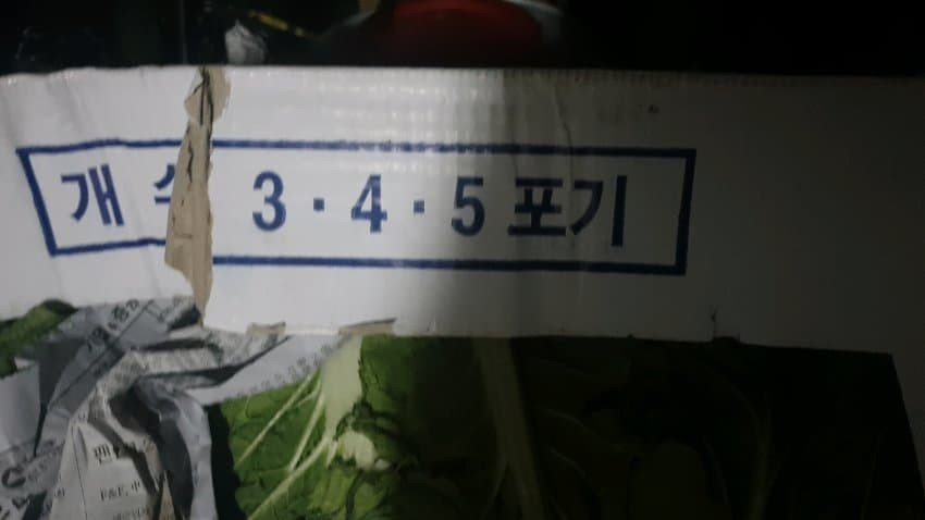 숫자를 5까지 밖에 못세는 사람..