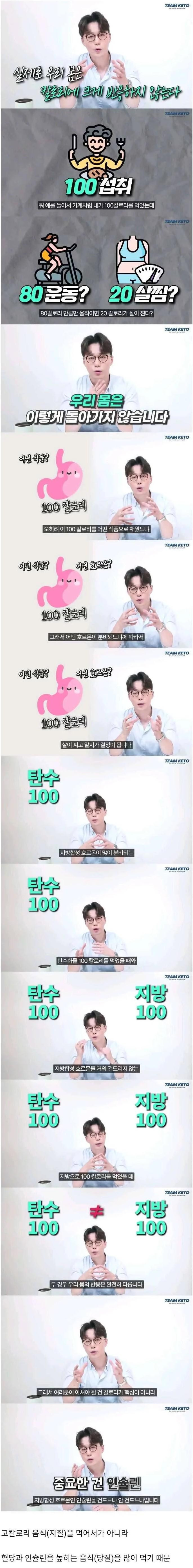 살 쪄서 쌉돼지가 되는 원리