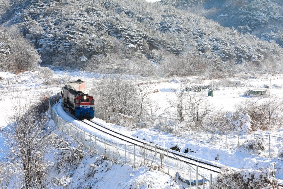 2025년 철도 사진 공모전 수상작들