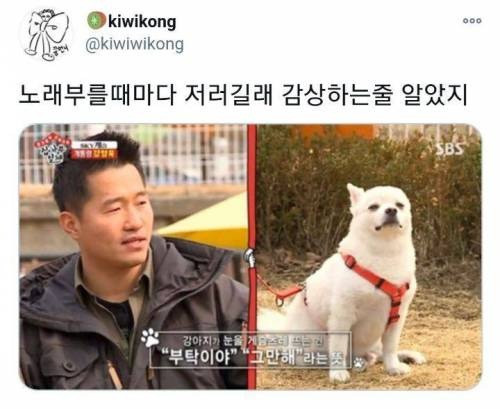 강아지가 눈을 게슴츠레 뜨는건