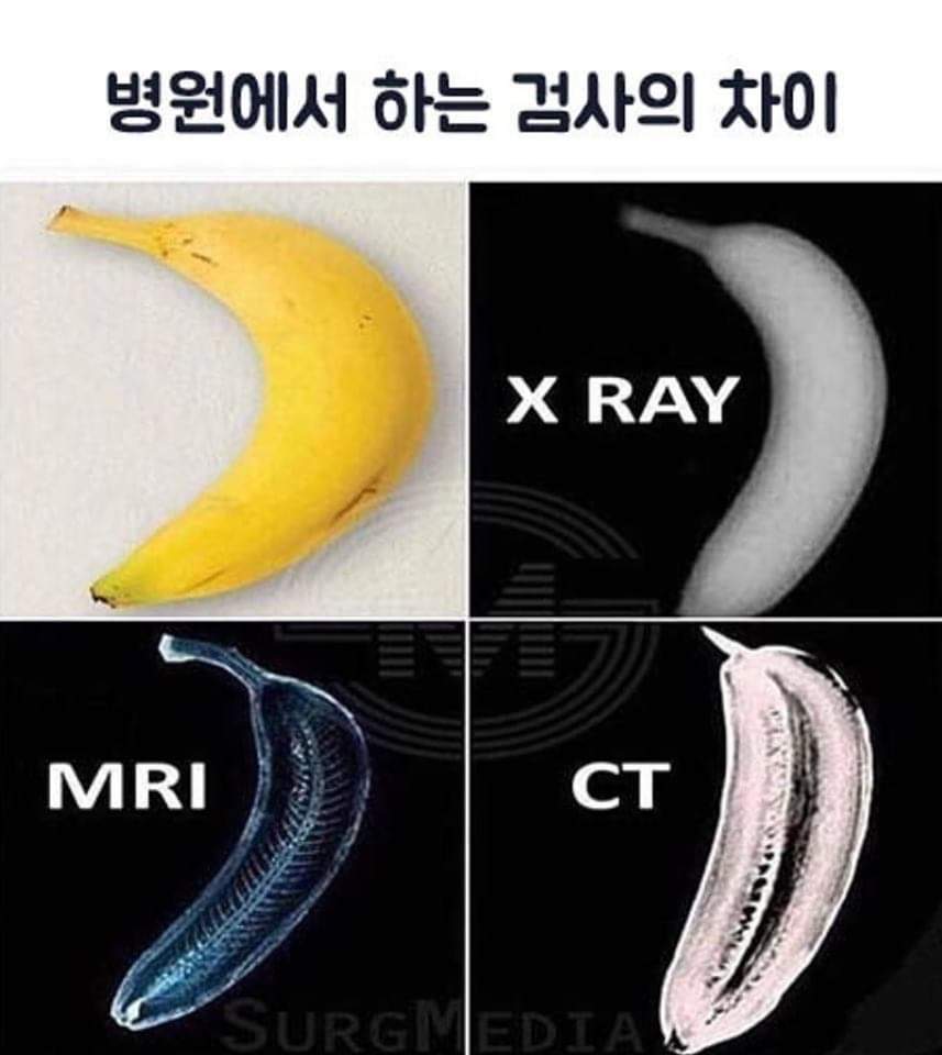 병원에서 하는 검사의 차이