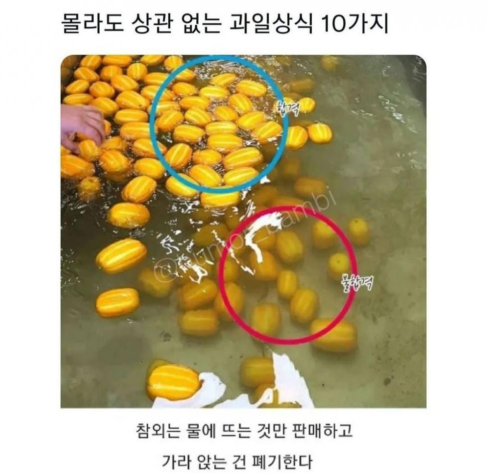 몰라도 상관없는 과일 지식 10개