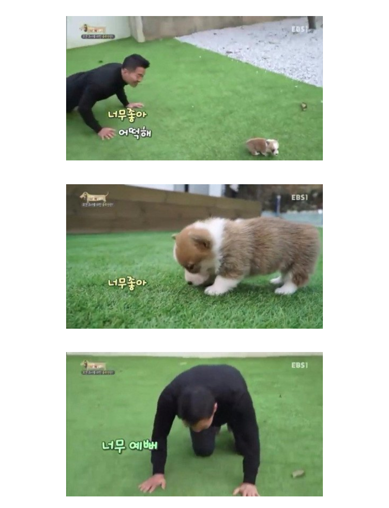 개통령 강형욱이 무너진 순간