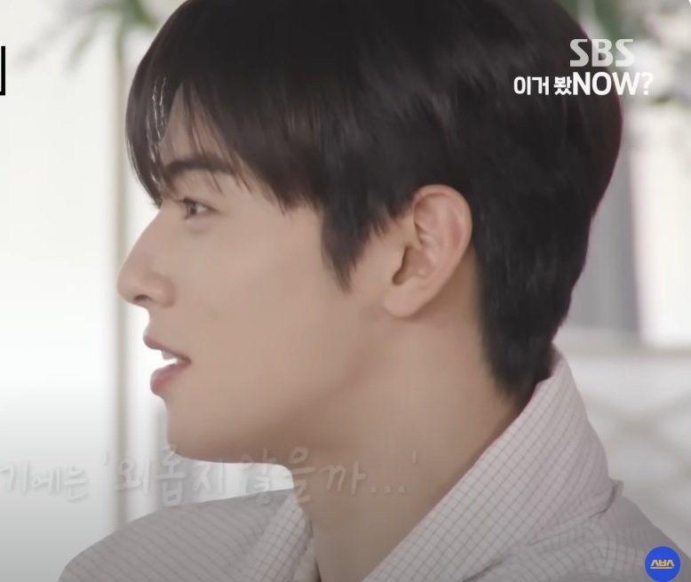 차은우 옆모습 VS 원빈 옆모습