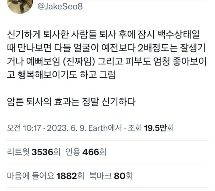 퇴사의 효능