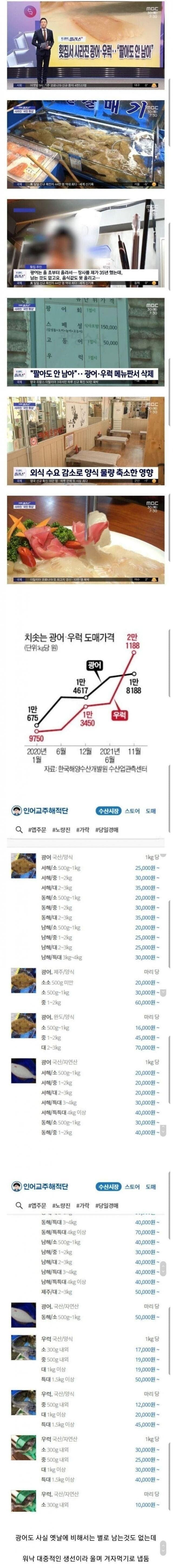 요즘 횟집 초비상걸리게 만든 광어회 우럭회 상황