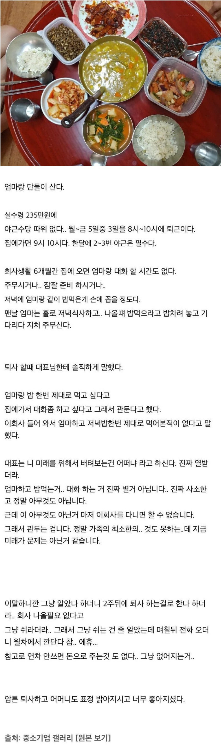 엄마랑 저녁 먹으려고 퇴사한 디시인
