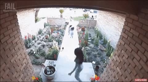 어머니의 무친 판단력 ㄷㄷ