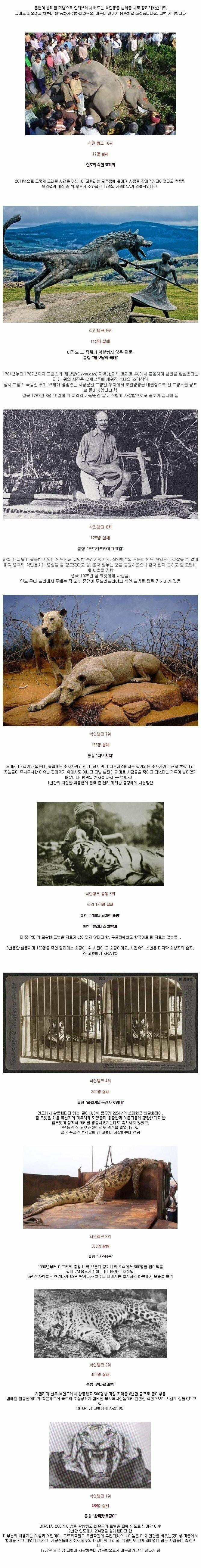 역대 최악의 식인동물 탑10