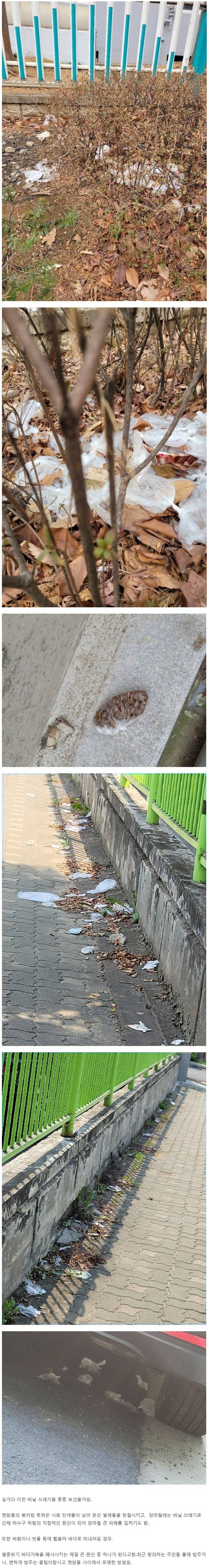 신종 길거리 테러
