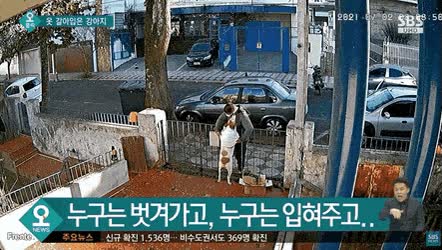 주인도 모르게 옷 갈아 입은 강아지