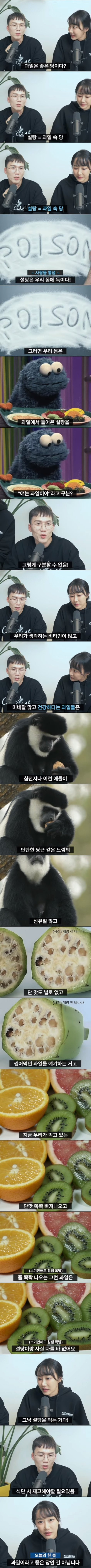 과일 먹으면 살찌는 이유