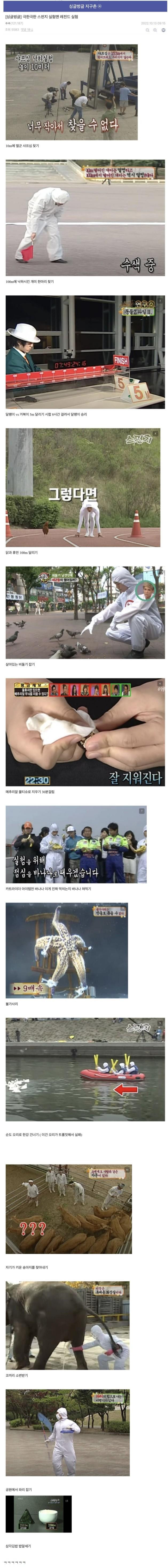 극한직업.. 스펀지 실험맨 레전드 실험들