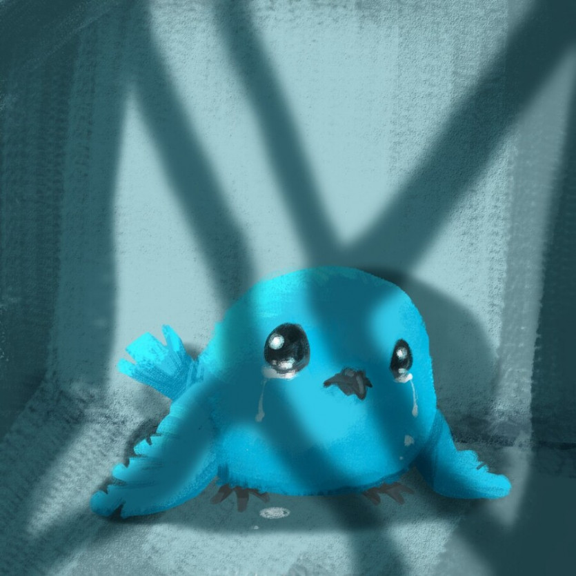 트위터 근황