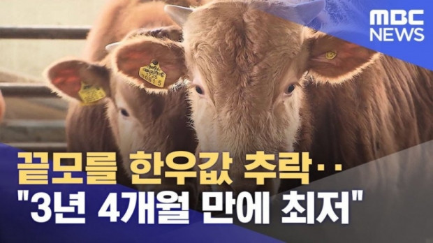 파는 사람은 적자인데 사먹는 사람은 비싼거