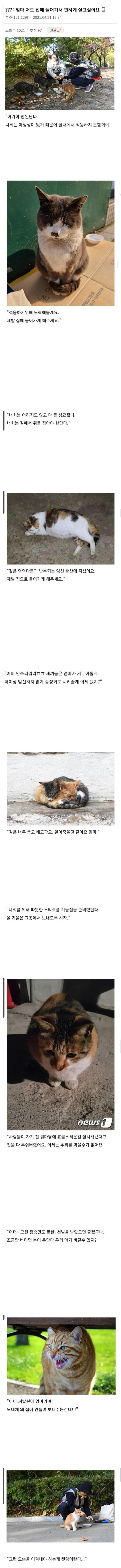 오들오들 캣맘동화.jpg