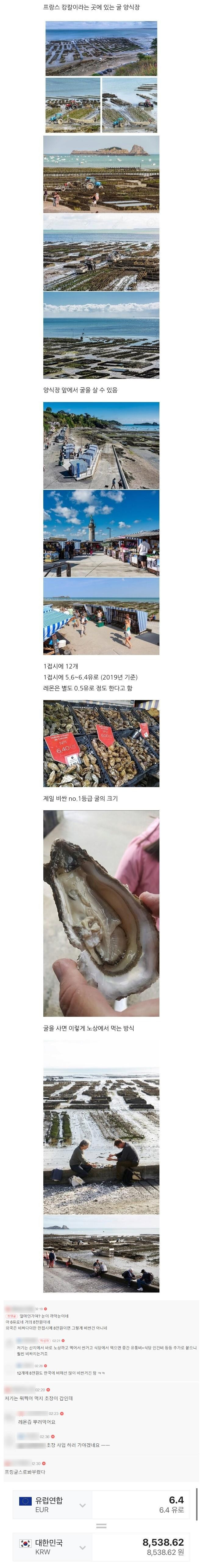 프랑스의 굴 양식장