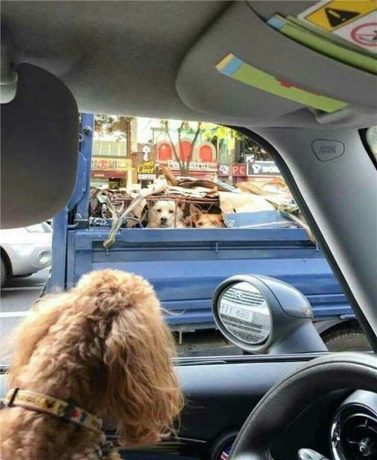 인터넷 하면서 본 것중 제일 가슴쓰린 사진.jpg