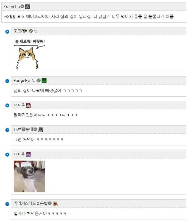 에어프라이어 사라 삶의 질이 달라진다